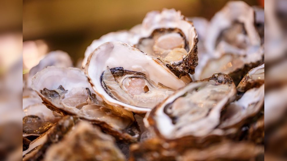 Купить Свежих Устриц С Доставкой