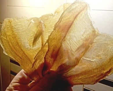 Балтийский берег официальный сайт рыба