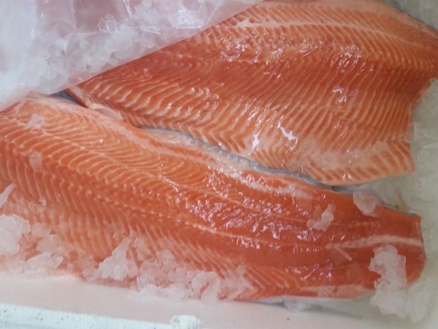 карельская радужная форель 2-3 кг. форель myaso. форель соленая. радужная форель мясо. форель озерная мясо.