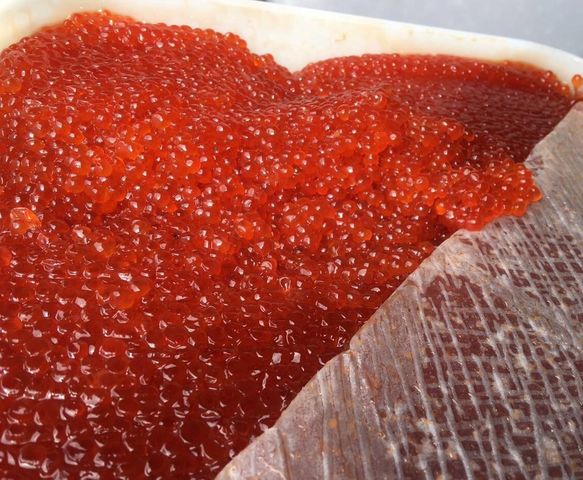 Оплодотворенная икра. У какой рыбы красная икра. Икра рыбы. Какую рыбу на икру пускают. Рыба северная икра красная.